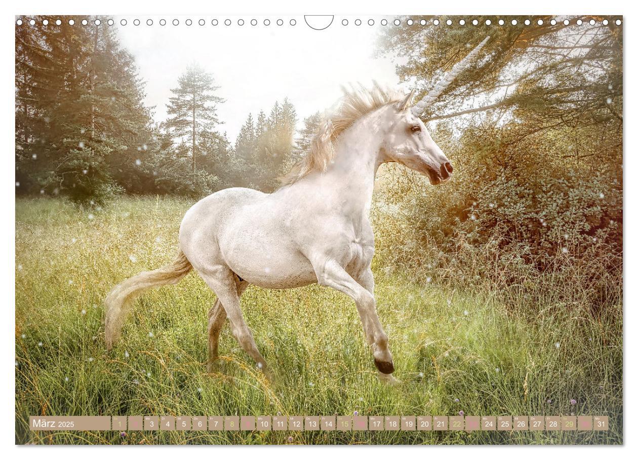 Bild: 9783383960000 | Einhorn Zauber - anmutige Einhornbilder (Wandkalender 2025 DIN A3...