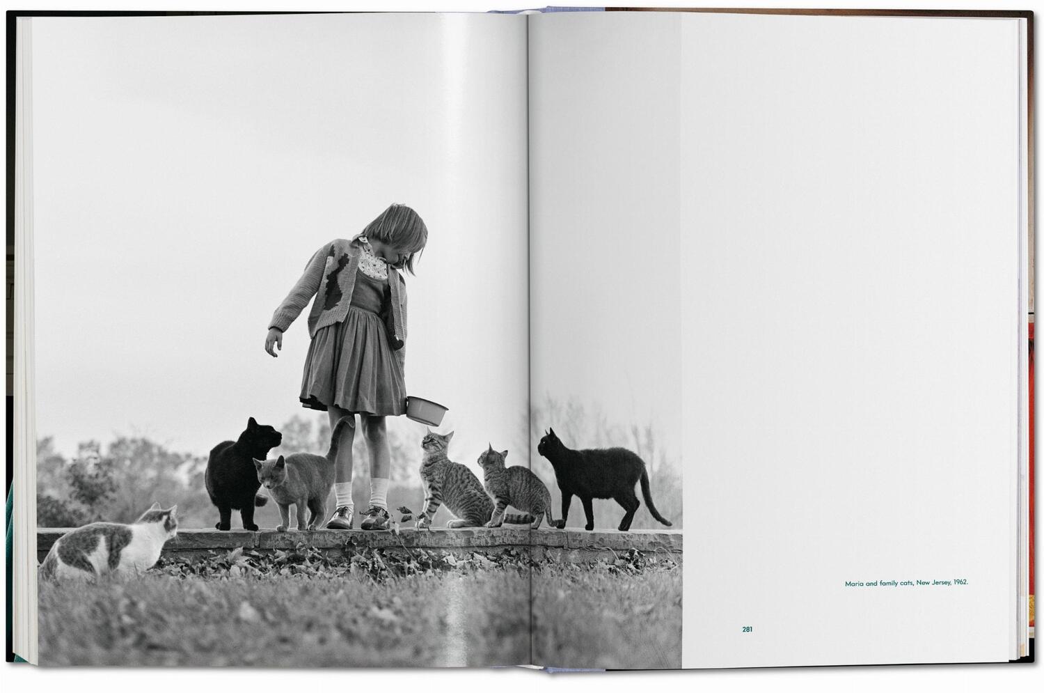 Bild: 9783836573856 | Walter Chandoha. Cats. Photographs 1942-2018 | Susan Michals | Buch