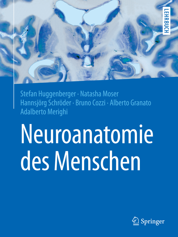 Cover: 9783662564608 | Neuroanatomie des Menschen | Taschenbuch | X | Deutsch | 2018