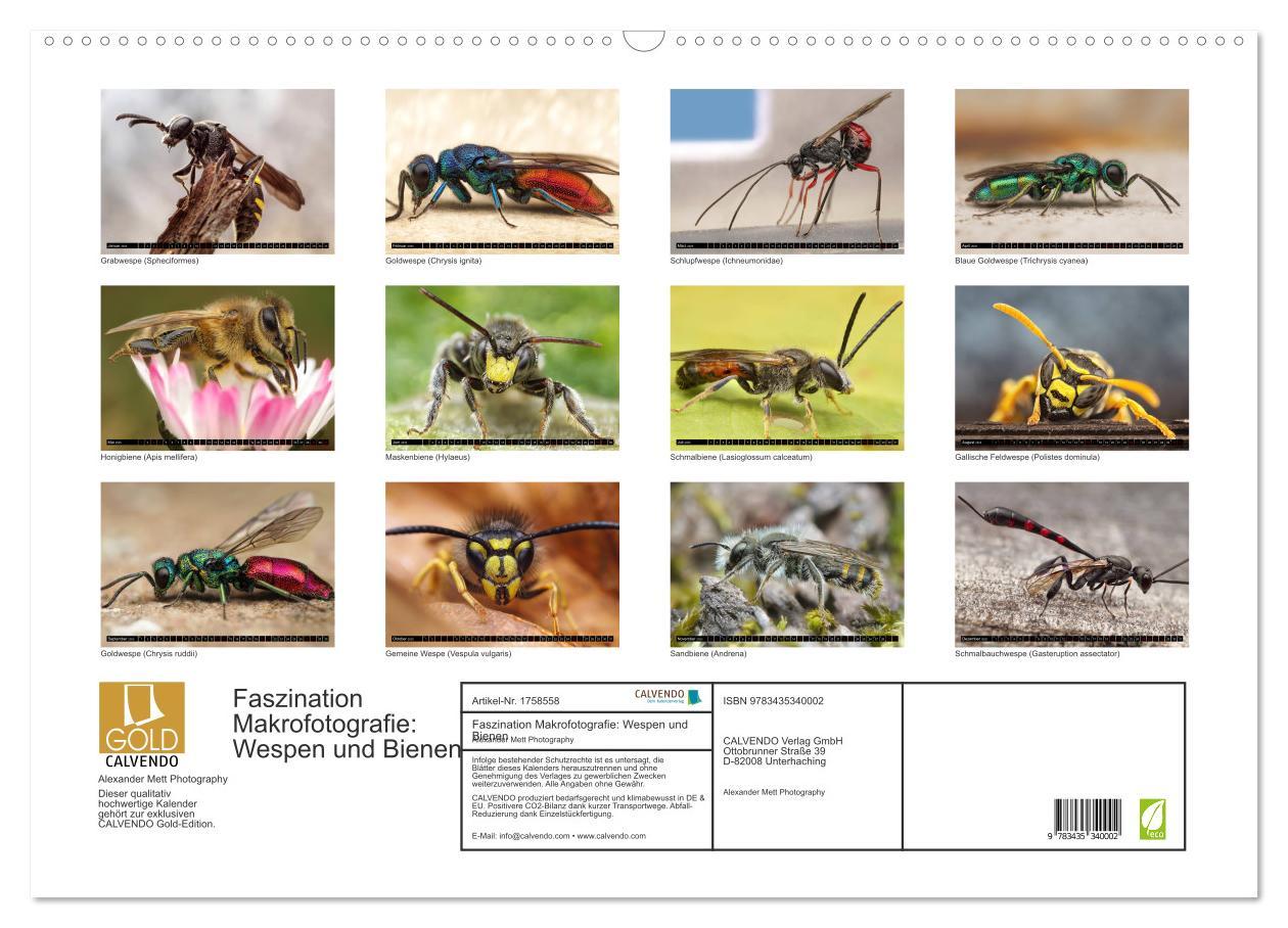 Bild: 9783435340002 | Faszination Makrofotografie: Wespen und Bienen (Wandkalender 2025...