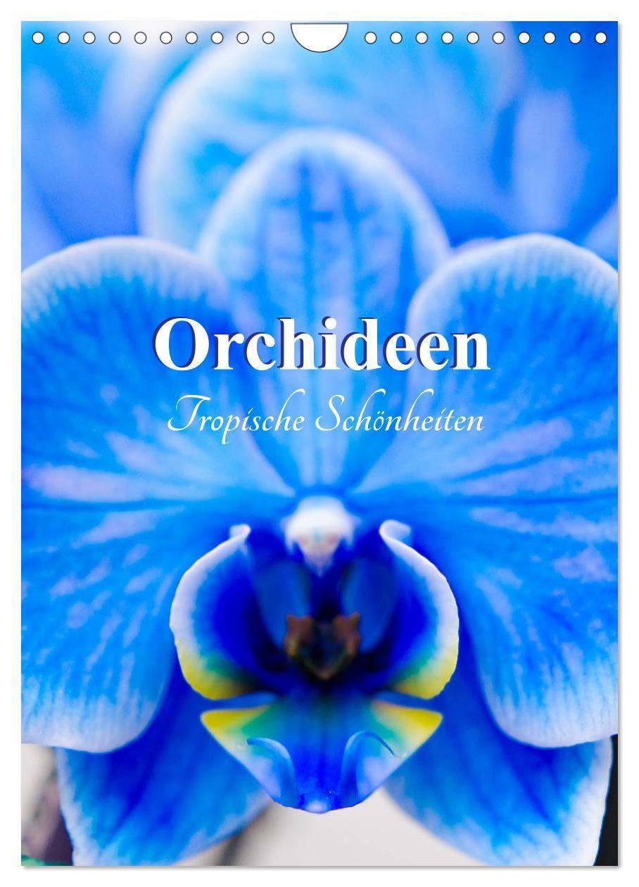 Cover: 9783435977833 | Orchideen - Tropische Schönheiten (Wandkalender 2025 DIN A4 hoch),...