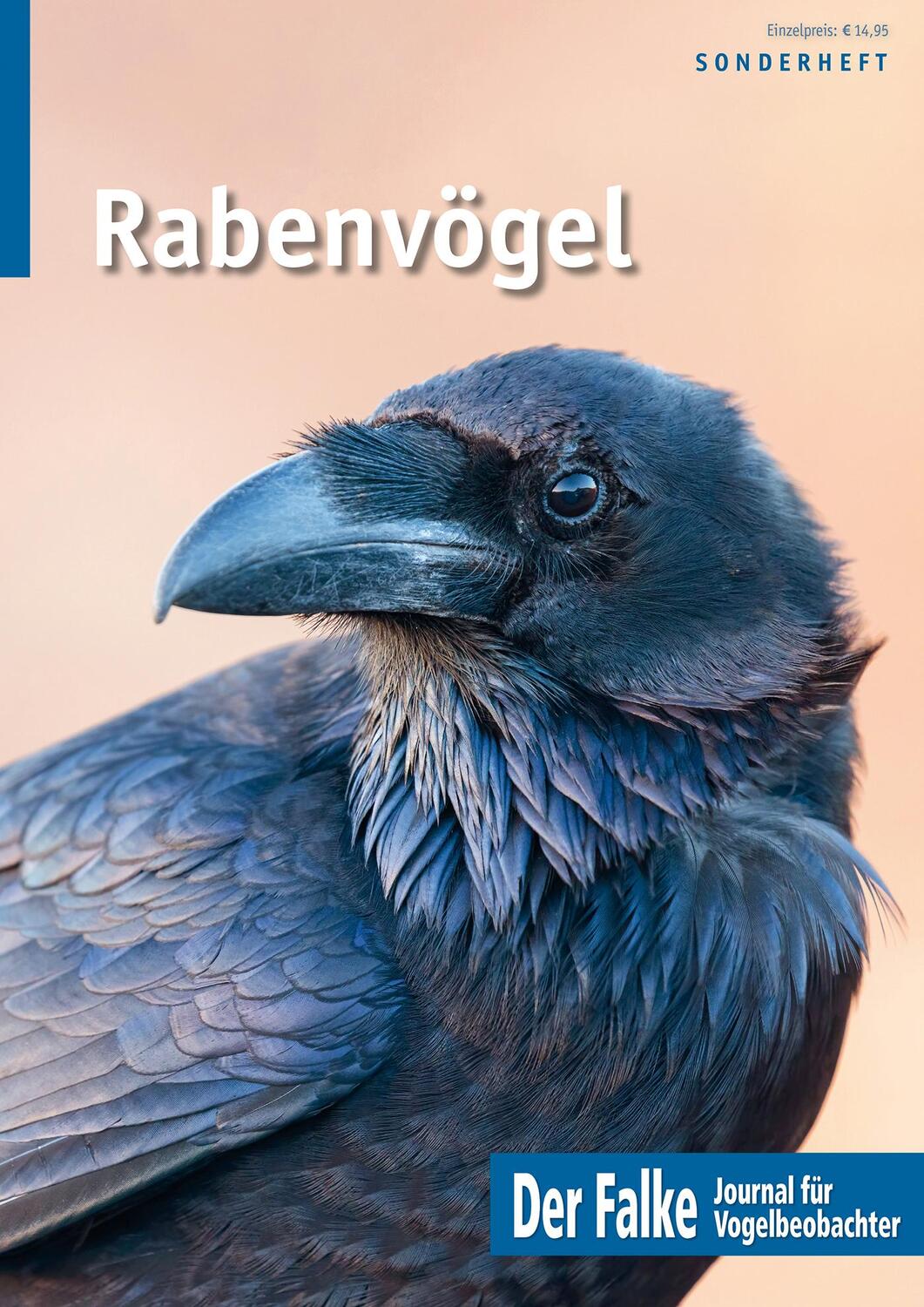 Cover: 9783891048627 | Rabenvögel | Redaktion Der Falke | Taschenbuch | 64 S. | Deutsch