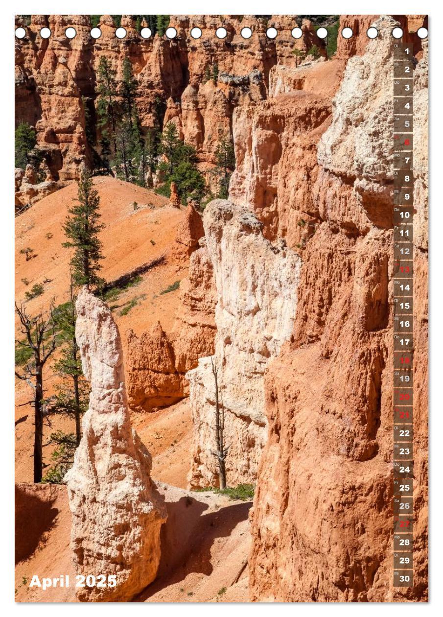 Bild: 9783435972319 | BRYCE CANYON Natur Pur (Tischkalender 2025 DIN A5 hoch), CALVENDO...