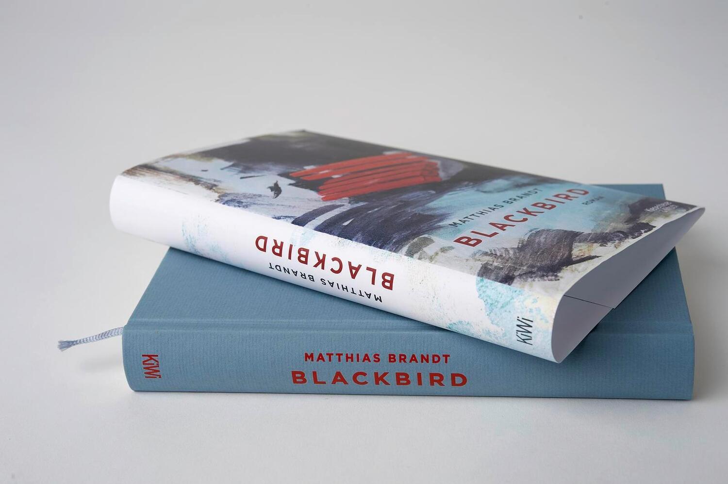 Bild: 9783462053135 | Blackbird | Roman | Matthias Brandt | Buch | 276 S. | Deutsch | 2019