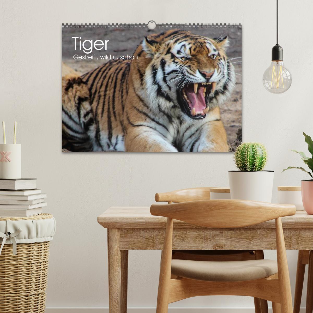 Bild: 9783435738533 | Tiger. Gestreift, wild u. schön (Wandkalender 2025 DIN A3 quer),...