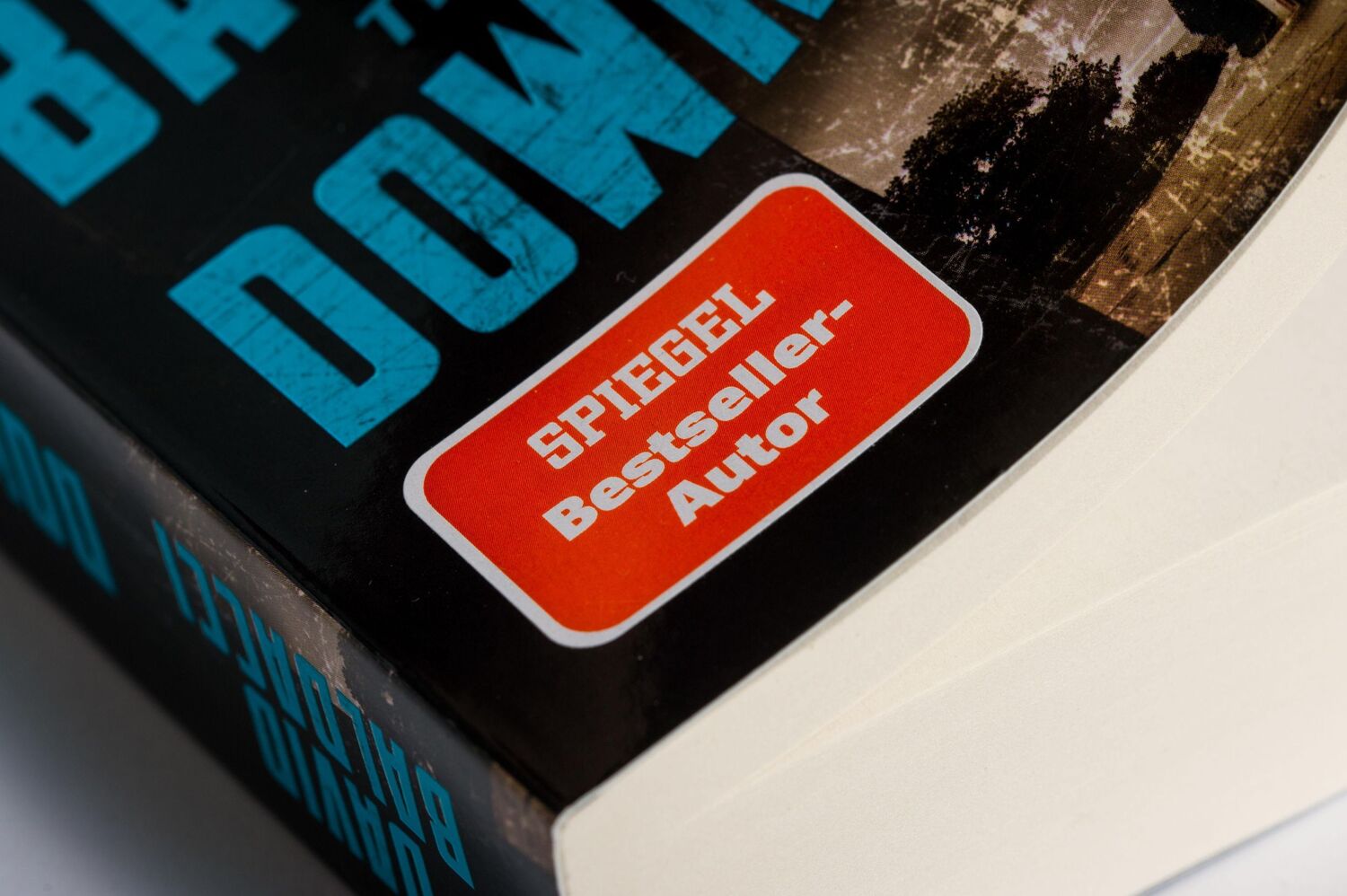 Bild: 9783453441538 | Downfall | Thriller | David Baldacci | Taschenbuch | 528 S. | Deutsch