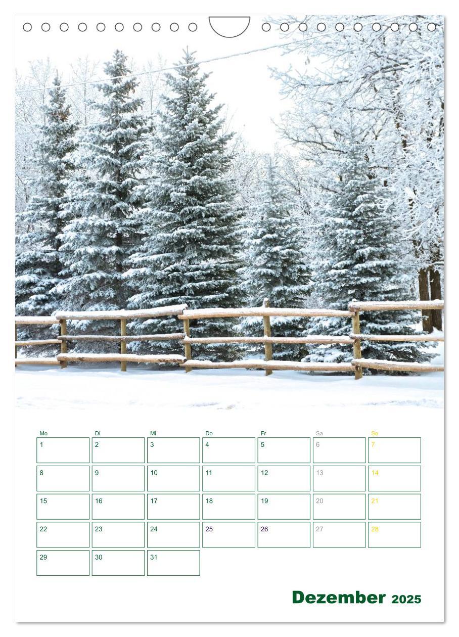 Bild: 9783457055540 | Wald- und Wiesenkalender 2025 Planer (Wandkalender 2025 DIN A4...