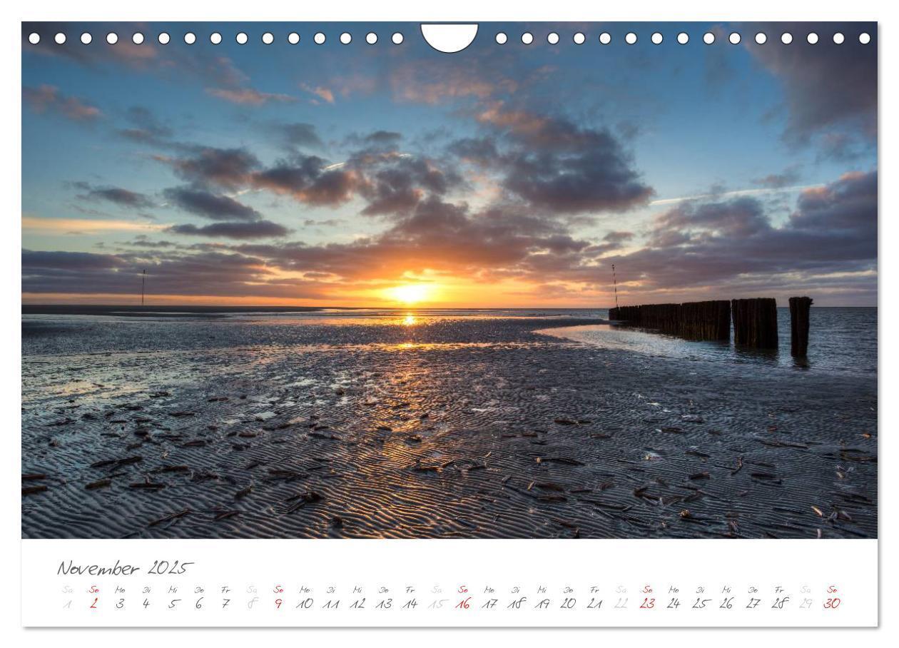 Bild: 9783435601738 | Amrum - Eine farbenfrohe Insellandschaft (Wandkalender 2025 DIN A4...