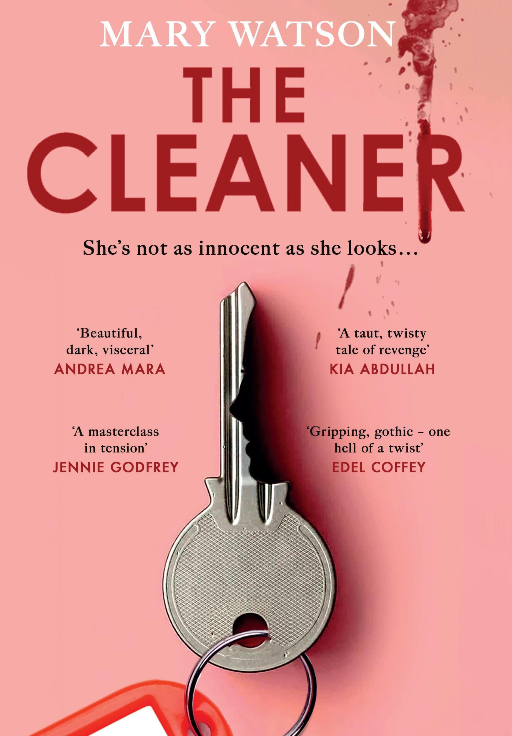 Cover: 9780857506030 | The Cleaner | Mary Watson | Buch | Englisch | 2025 | EAN 9780857506030