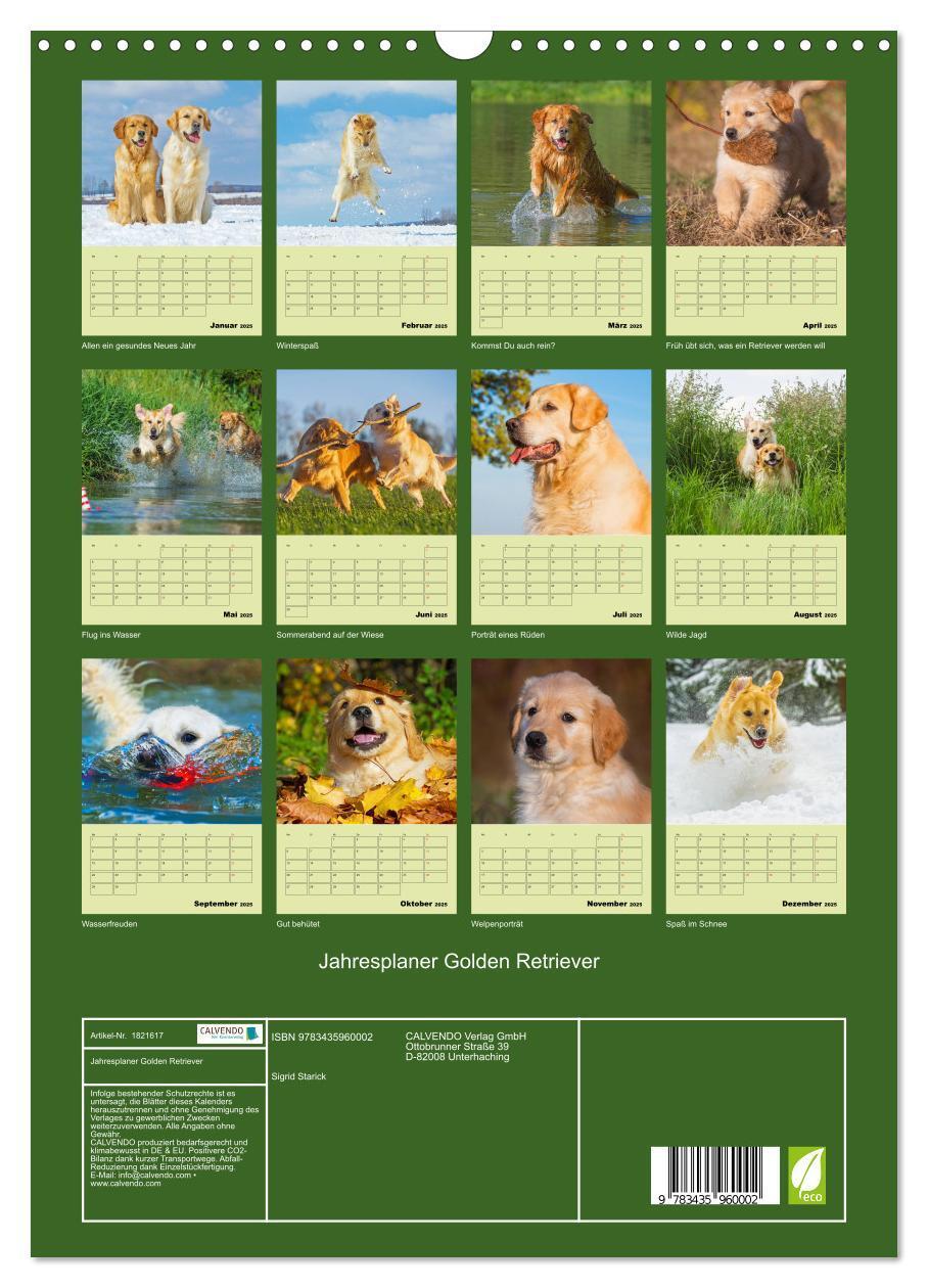 Bild: 9783435960002 | Jahresplaner Golden Retriever (Wandkalender 2025 DIN A3 hoch),...