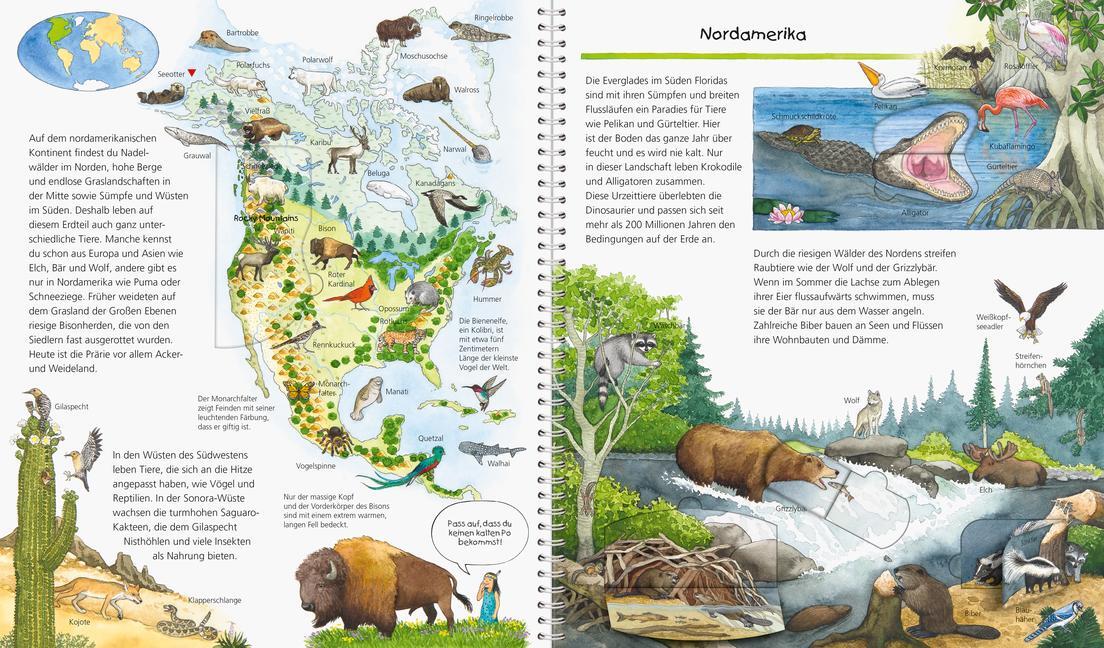 Bild: 9783473326013 | Wieso? Weshalb? Warum? Mein großer Tieratlas | Andrea Erne | Buch