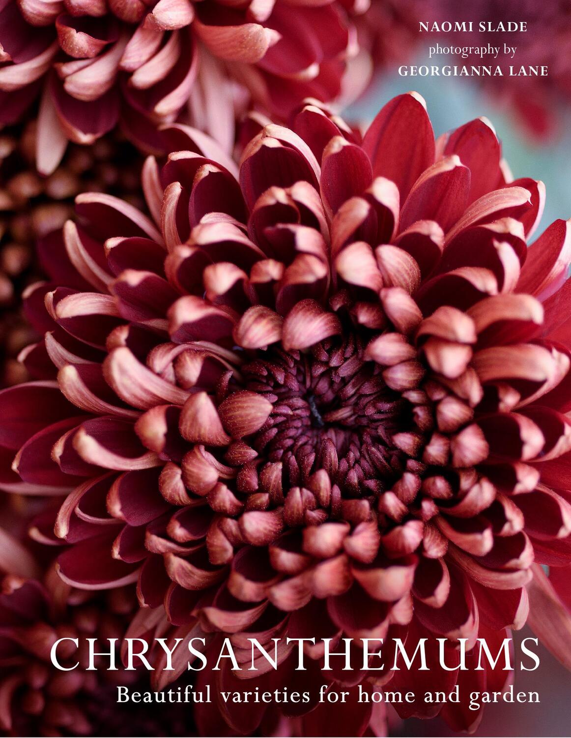 Cover: 9780008662738 | Chrysanthemums | Beautiful Varieties for Home and Garden | Buch | 2024