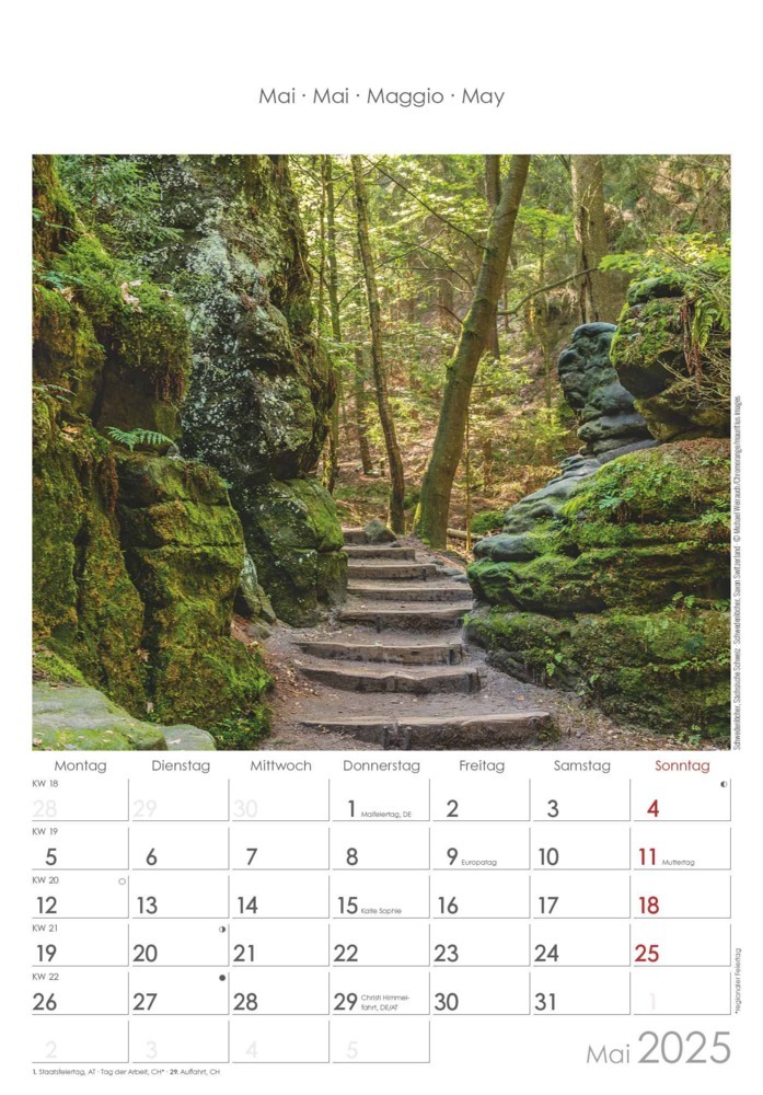 Bild: 4251732341206 | Alpha Edition - Sachsen 2025 Bildkalender, 23,7x34cm, Wandkalender...