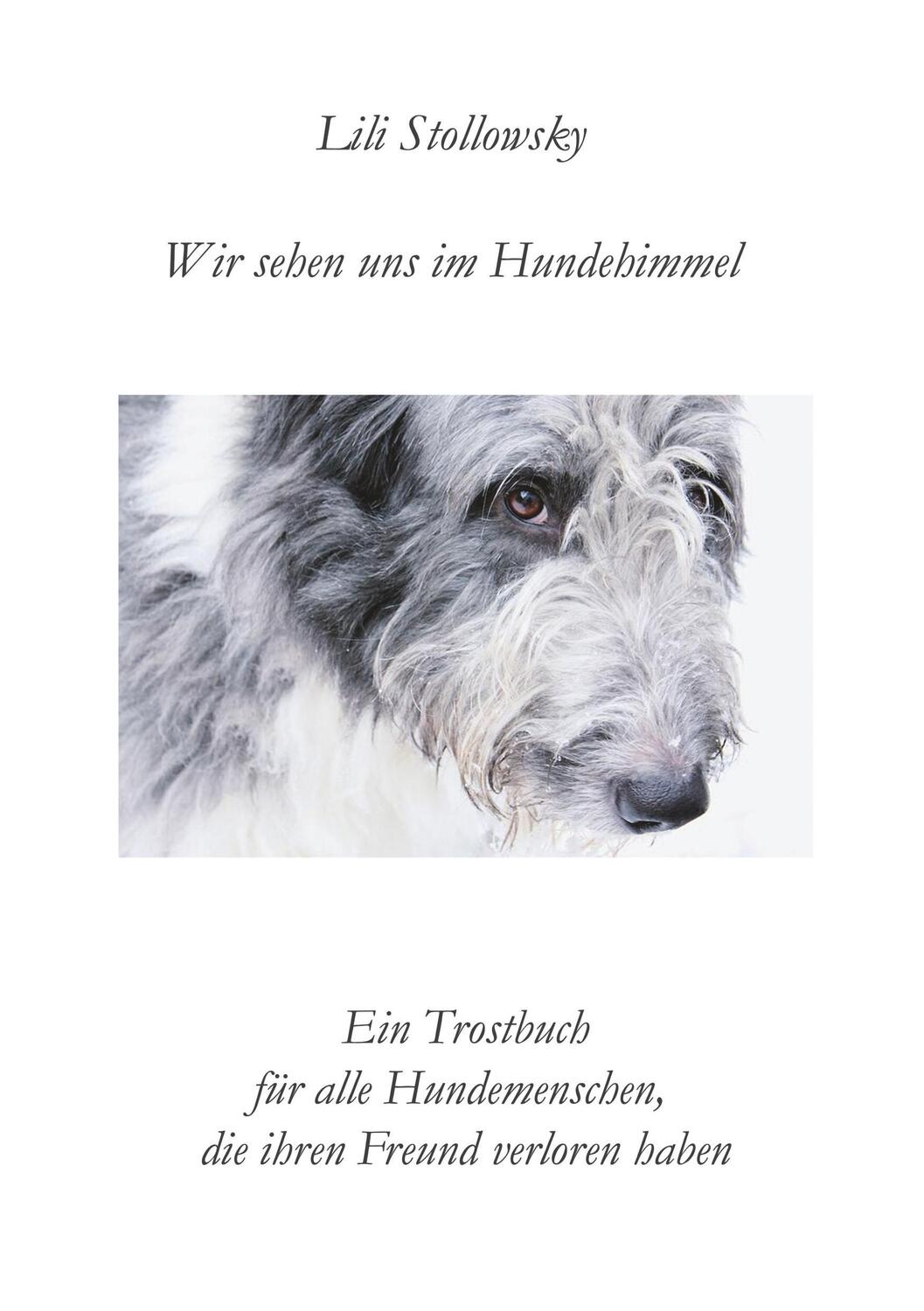 Cover: 9783749484096 | Wir sehen uns im Hundehimmel | Lili Stollowsky | Taschenbuch