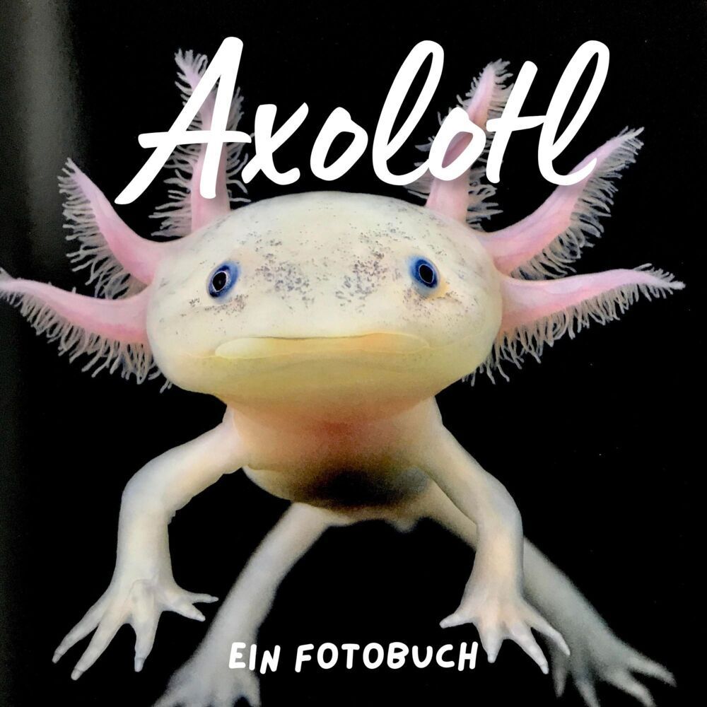 Cover: 9783750517172 | Axolotl | Bibi Hübsch | Taschenbuch | 42 S. | Deutsch | 2022