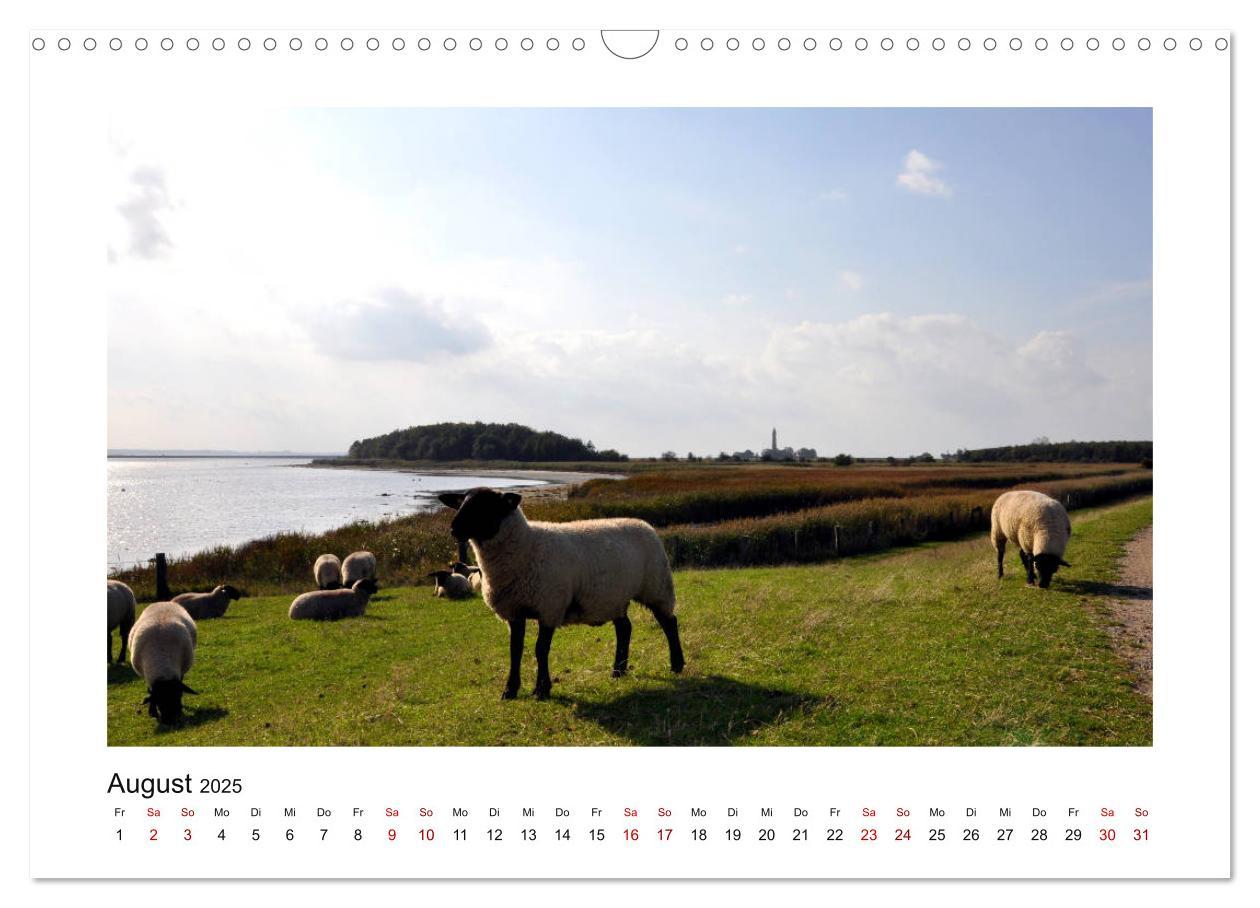 Bild: 9783435433230 | Fehmarn - Bewegende Momente (Wandkalender 2025 DIN A3 quer),...