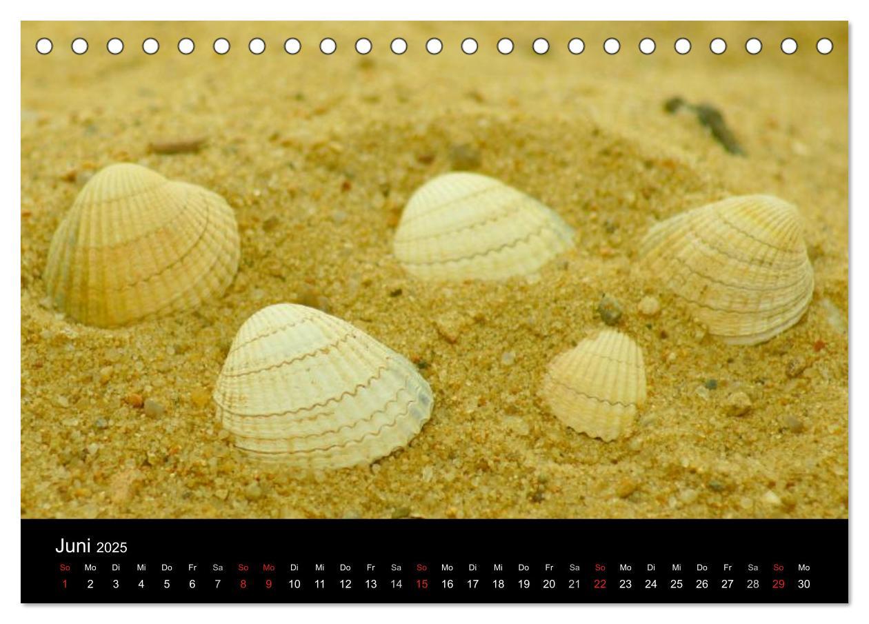 Bild: 9783435814251 | An der Nordsee (Tischkalender 2025 DIN A5 quer), CALVENDO...