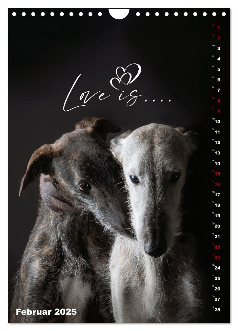 Bild: 9783457230862 | dogmuse deluxe (Wandkalender 2025 DIN A4 hoch), CALVENDO...