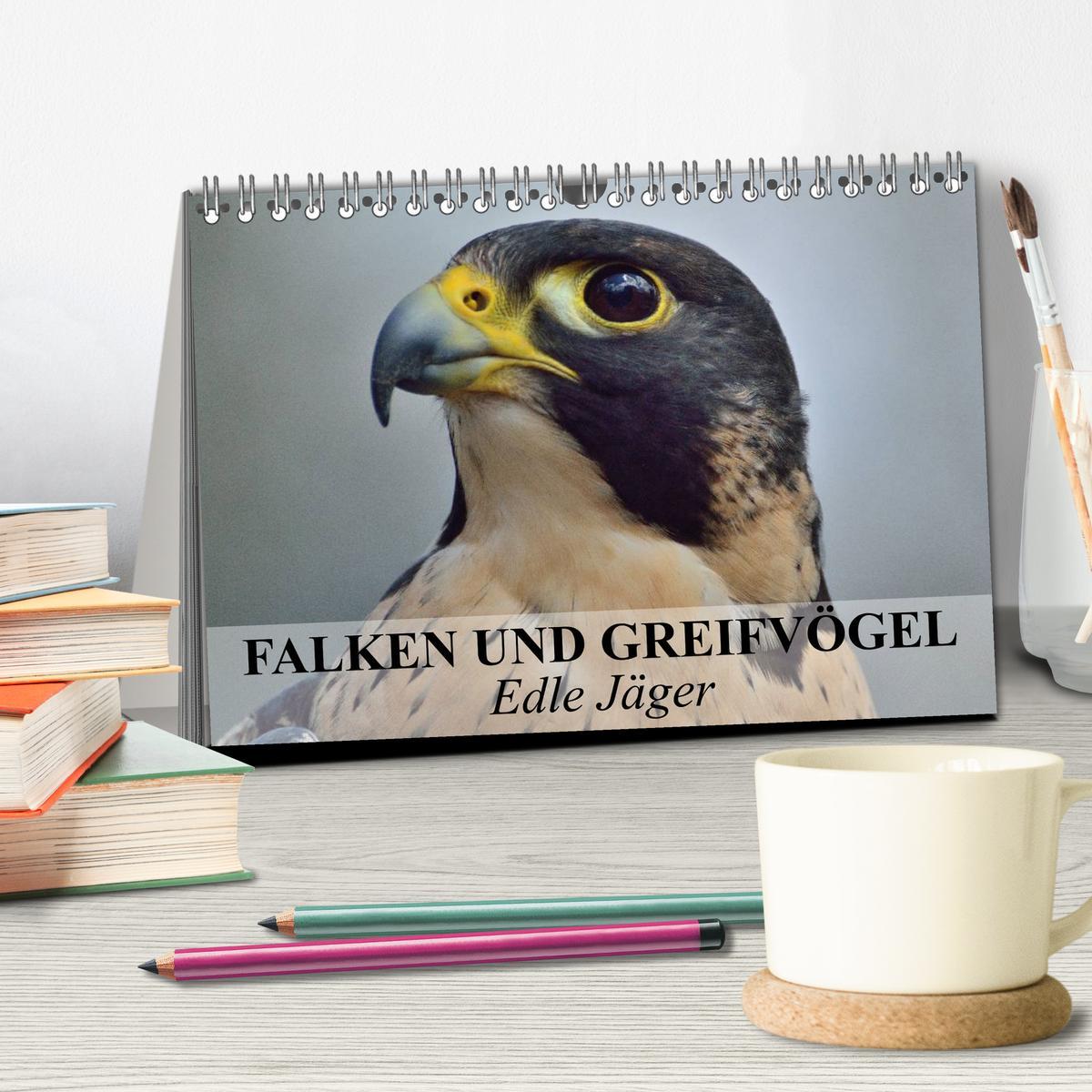 Bild: 9783435650330 | Falken und Greifvögel. Edle Jäger (Tischkalender 2025 DIN A5 quer),...