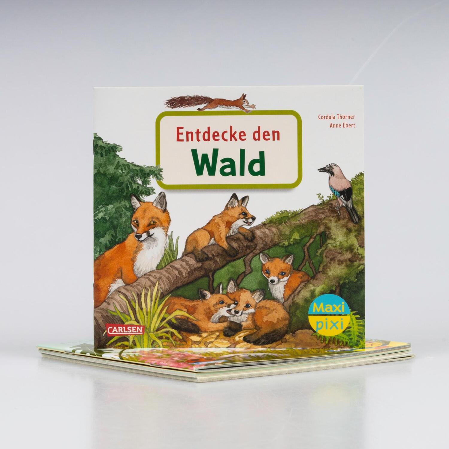 Bild: 9783551030764 | Maxi-Pixi-4er-Set 111: Meine Natur-Bilderbücher (4x1 Exemplar) | Box