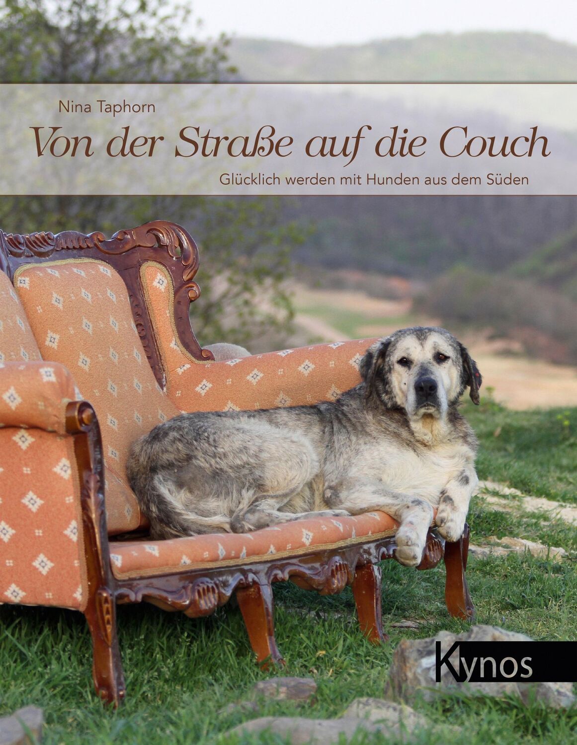 Cover: 9783954641314 | Von der Straße auf die Couch | Nina Taphorn | Buch | 124 S. | Deutsch