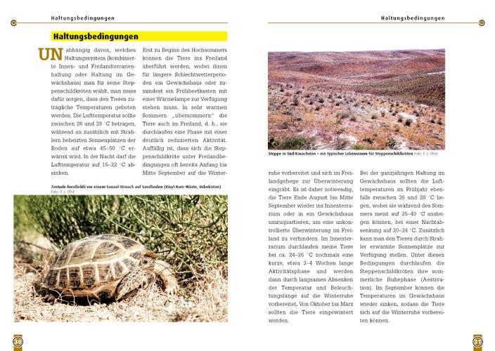 Bild: 9783937285221 | Steppenschildkröte | Testudo horsfildii | Thomas Wilms | Taschenbuch