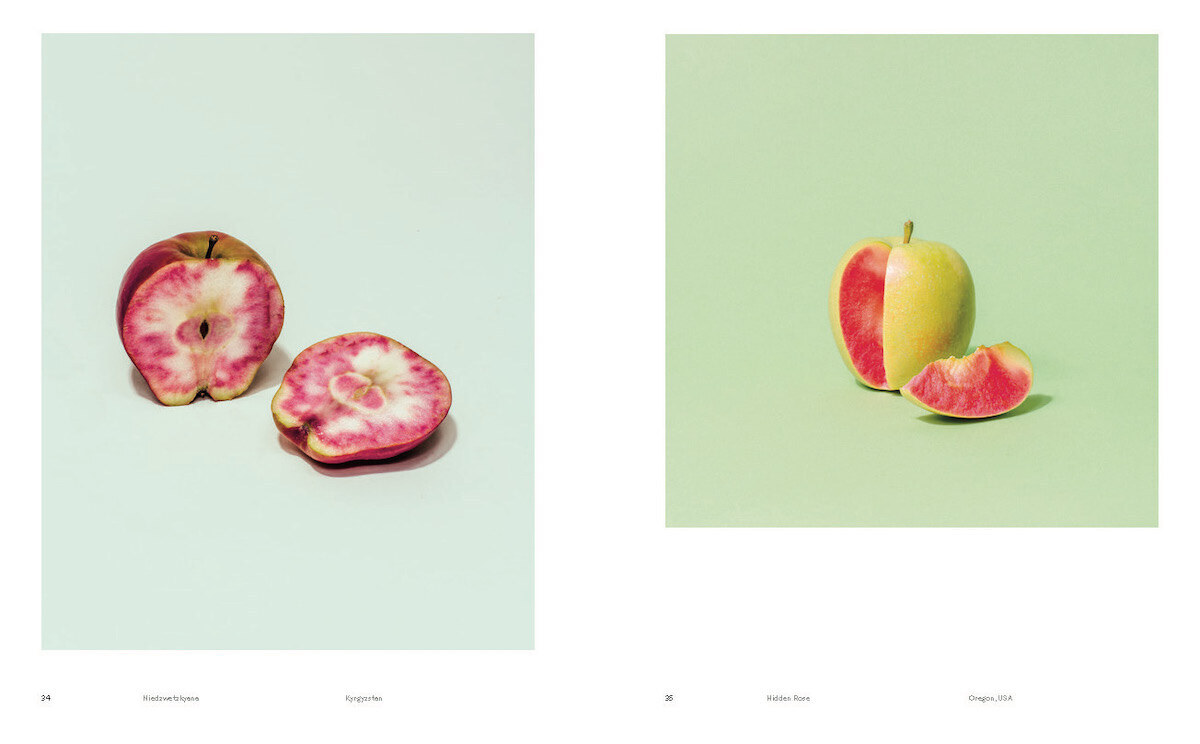 Bild: 9783775751155 | Odd Apples | (Special Edition) | A.A. Trabucco-Campos (u. a.) | Buch