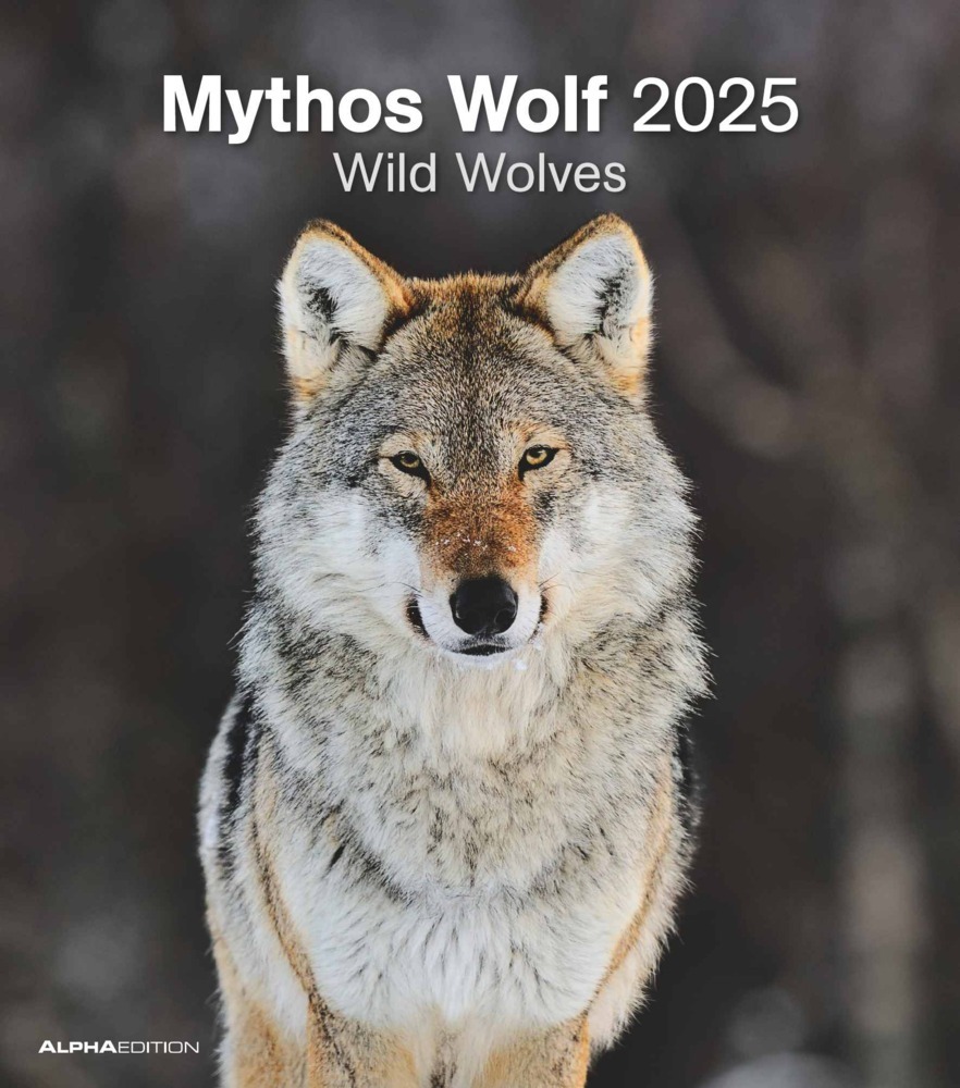 Cover: 4251732342166 | Alpha Edition - Mythos Wolf 2025 Bildkalender, 30,x34cm, Kalender...