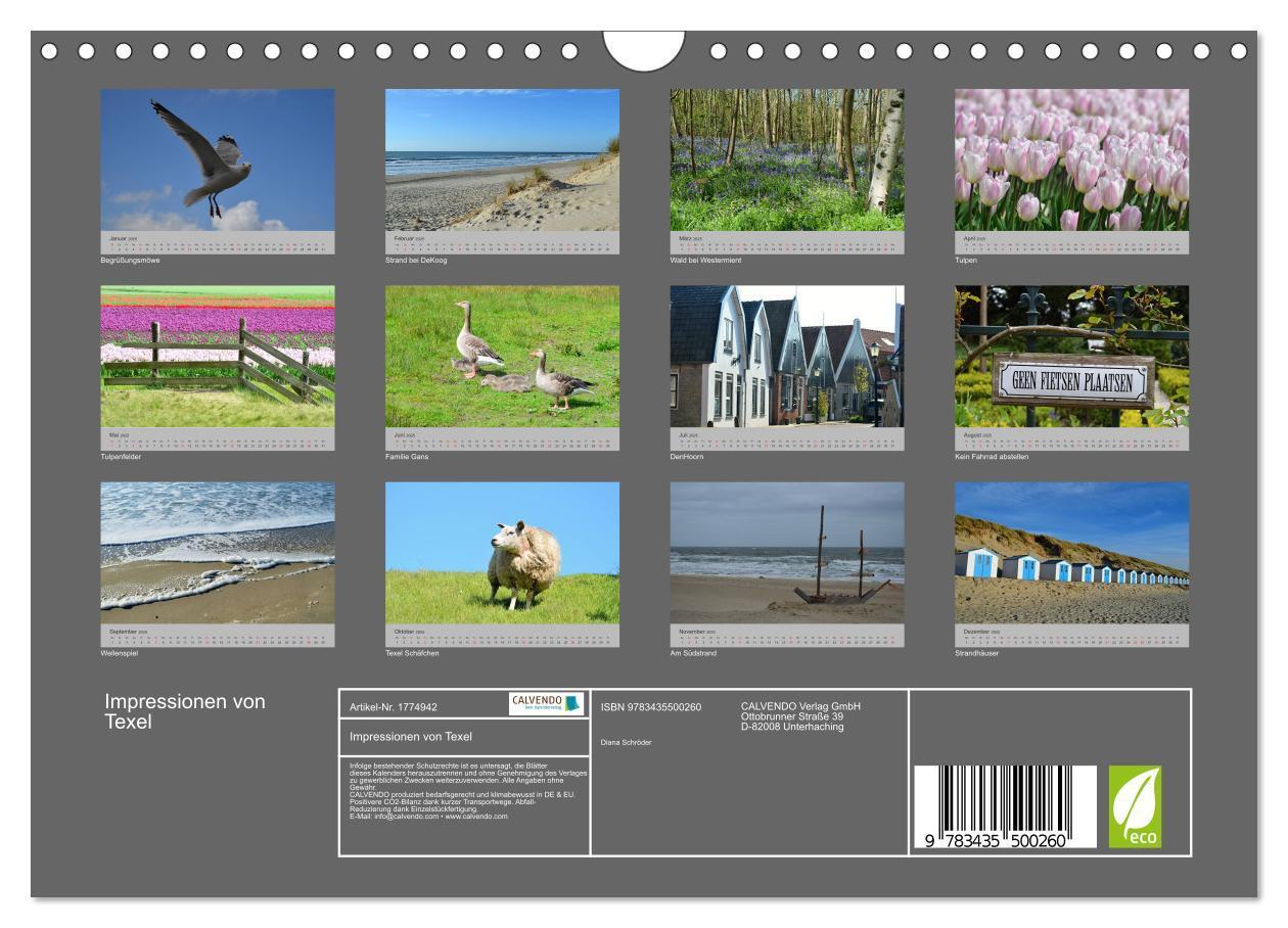 Bild: 9783435500260 | Impressionen von Texel (Wandkalender 2025 DIN A4 quer), CALVENDO...