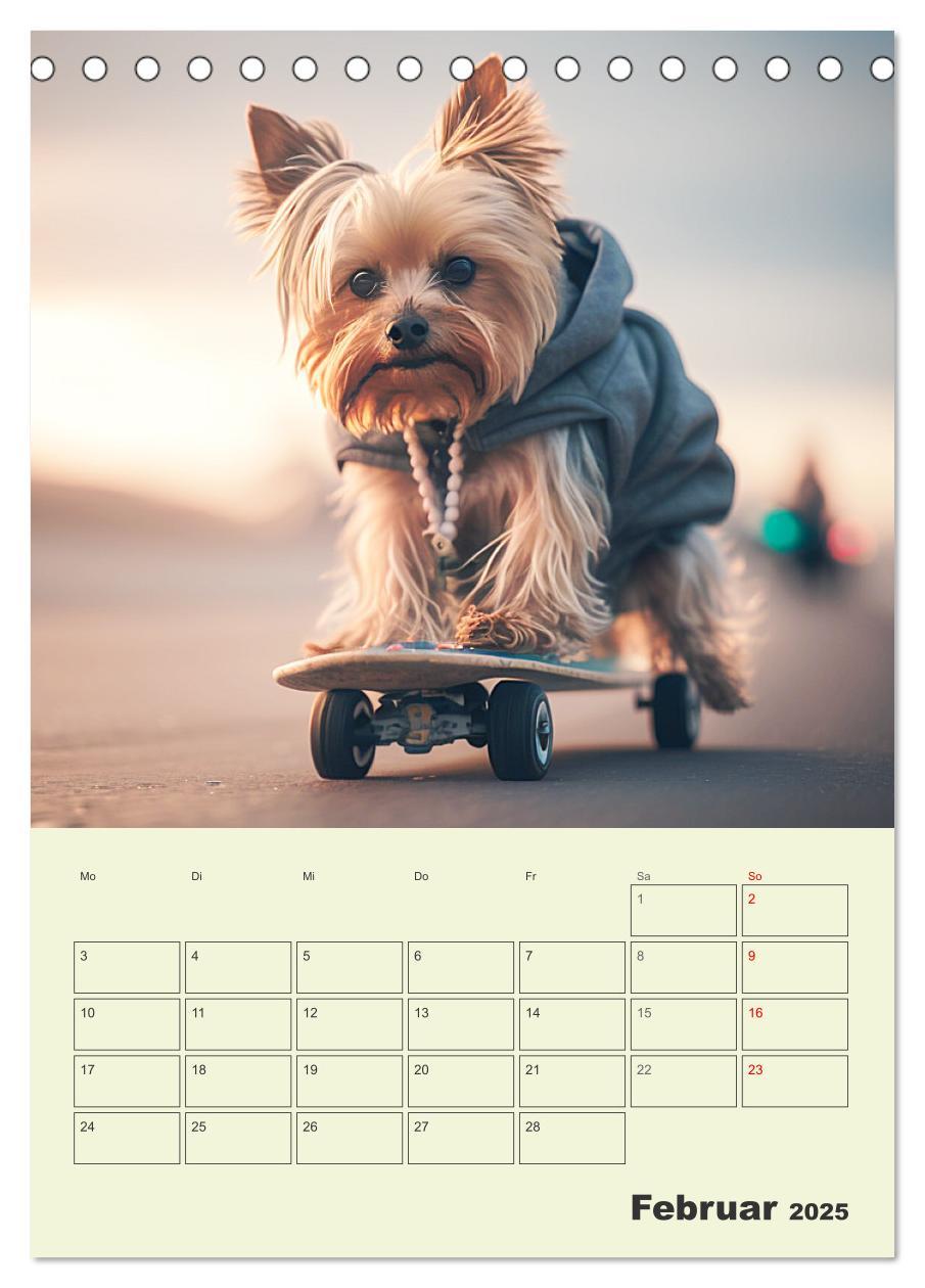 Bild: 9783435874705 | Yorkshire Terrier. Fröhliche Energiebündel in Aktion (Tischkalender...