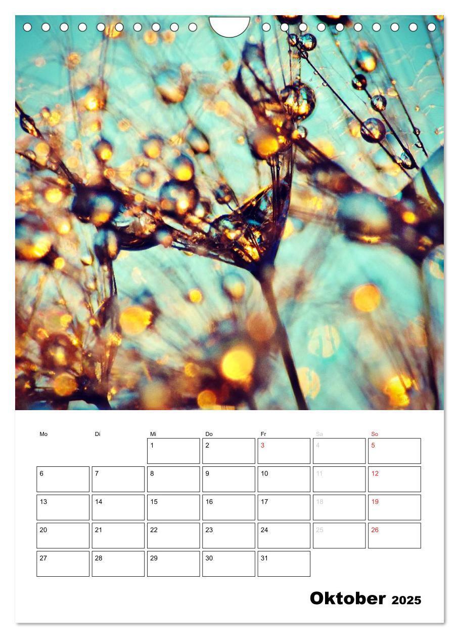 Bild: 9783457068762 | Pusteblumentraum - Dreams of Dandelion (Wandkalender 2025 DIN A4...