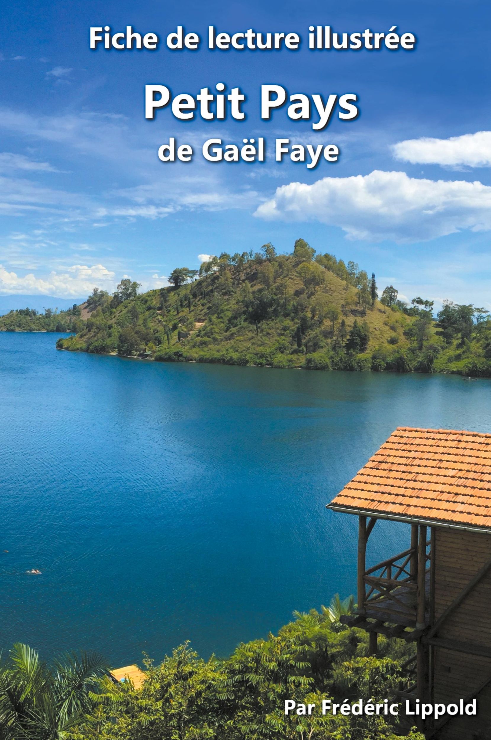 Cover: 9798223427780 | Fiche de lecture illustrée - Petit Pays, de Gaël Faye | Lippold | Buch