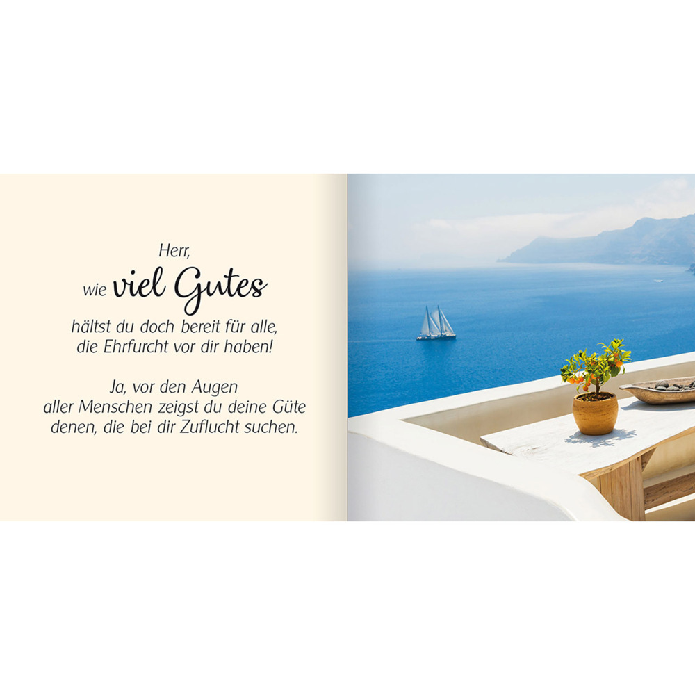 Bild: 9783863382056 | Ich schenke dir Psalm 31 | Meine Zeit in deiner Hand | Buch | 32 S.