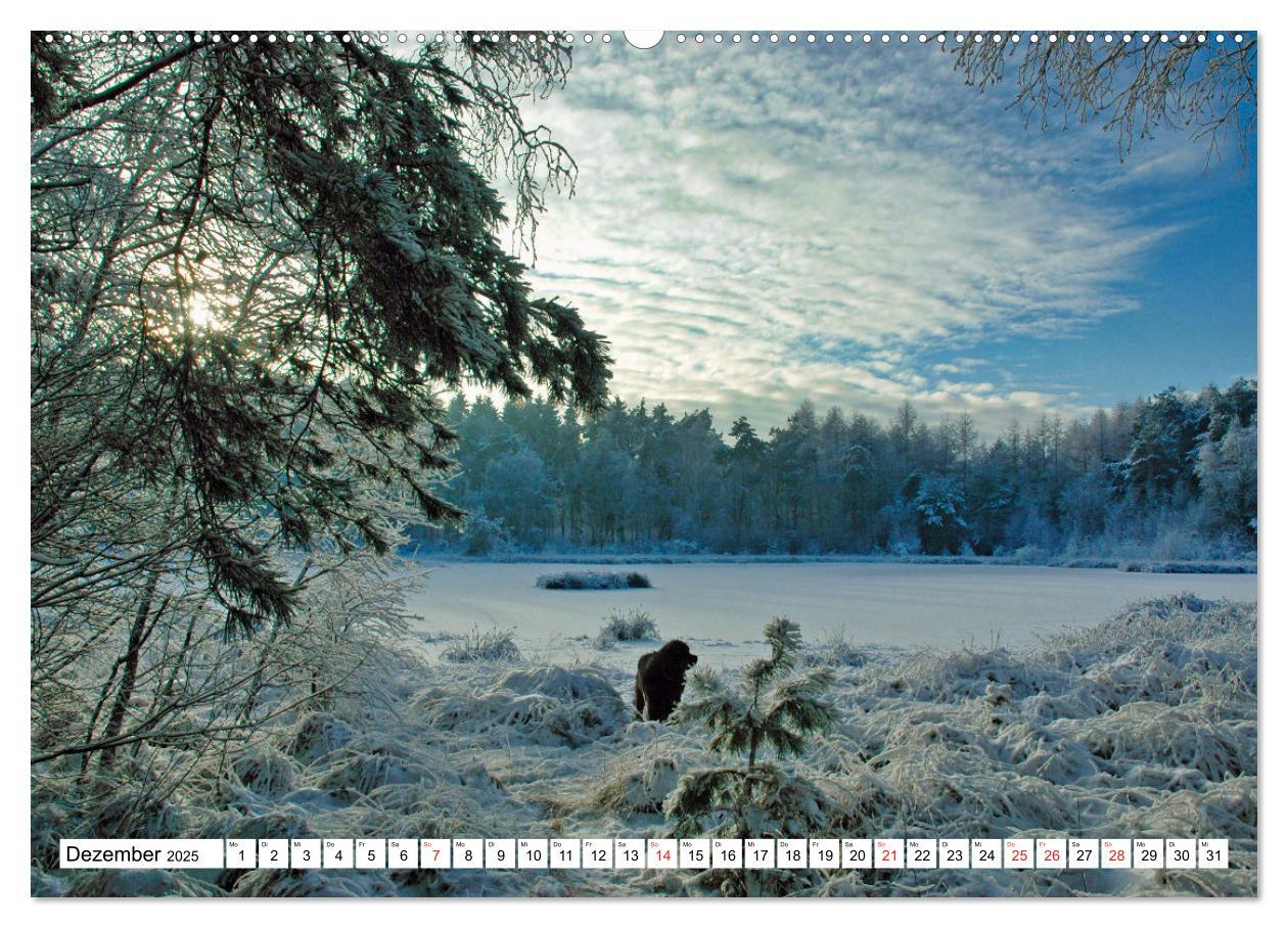 Bild: 9783435164806 | Wunderschönes Emsland (hochwertiger Premium Wandkalender 2025 DIN...