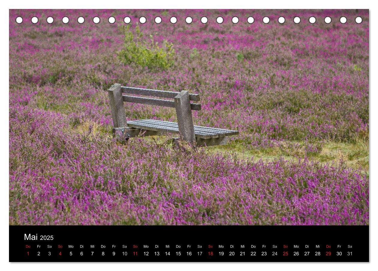 Bild: 9783435774555 | Lüneburger Heide (Tischkalender 2025 DIN A5 quer), CALVENDO...