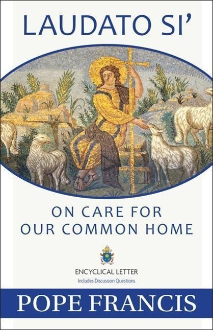 Cover: 9781612783864 | Laudato Si' | On Care for Our Common Home | Pope Francis | Taschenbuch