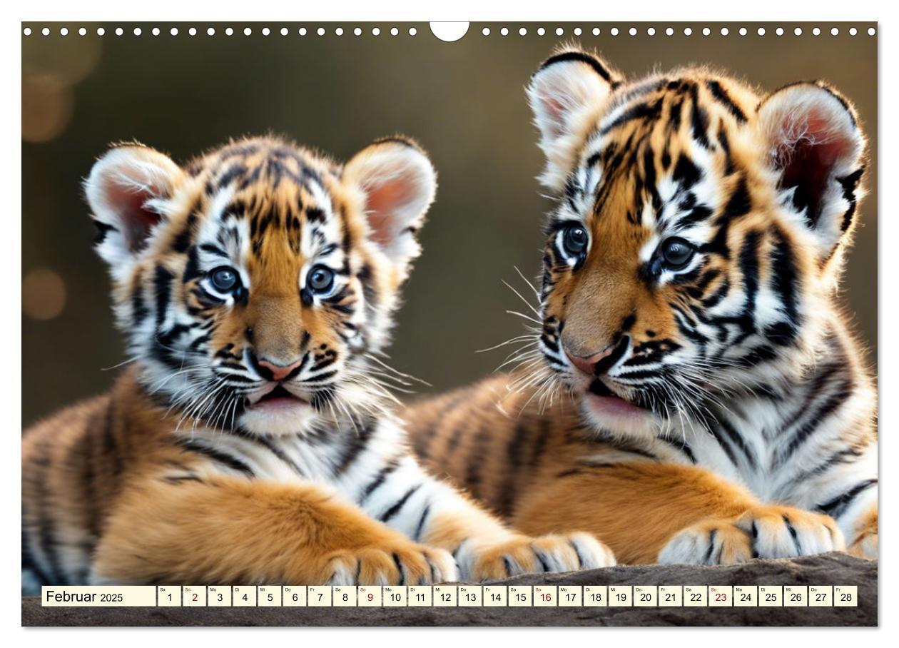 Bild: 9783383814143 | Tiger ganz nah (Wandkalender 2025 DIN A3 quer), CALVENDO...