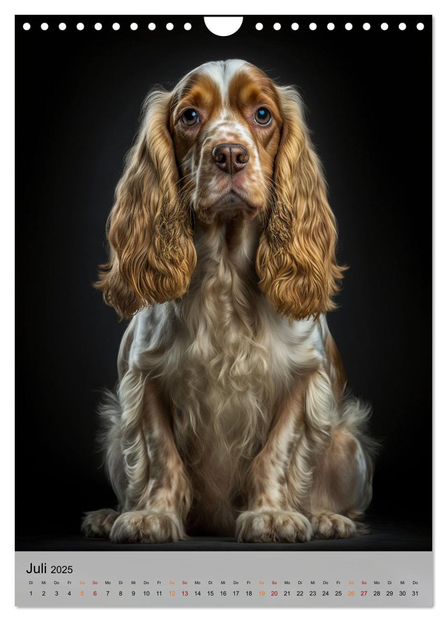 Bild: 9783383765322 | Cocker Spaniel - ein Hund für die Familie (Wandkalender 2025 DIN A4...