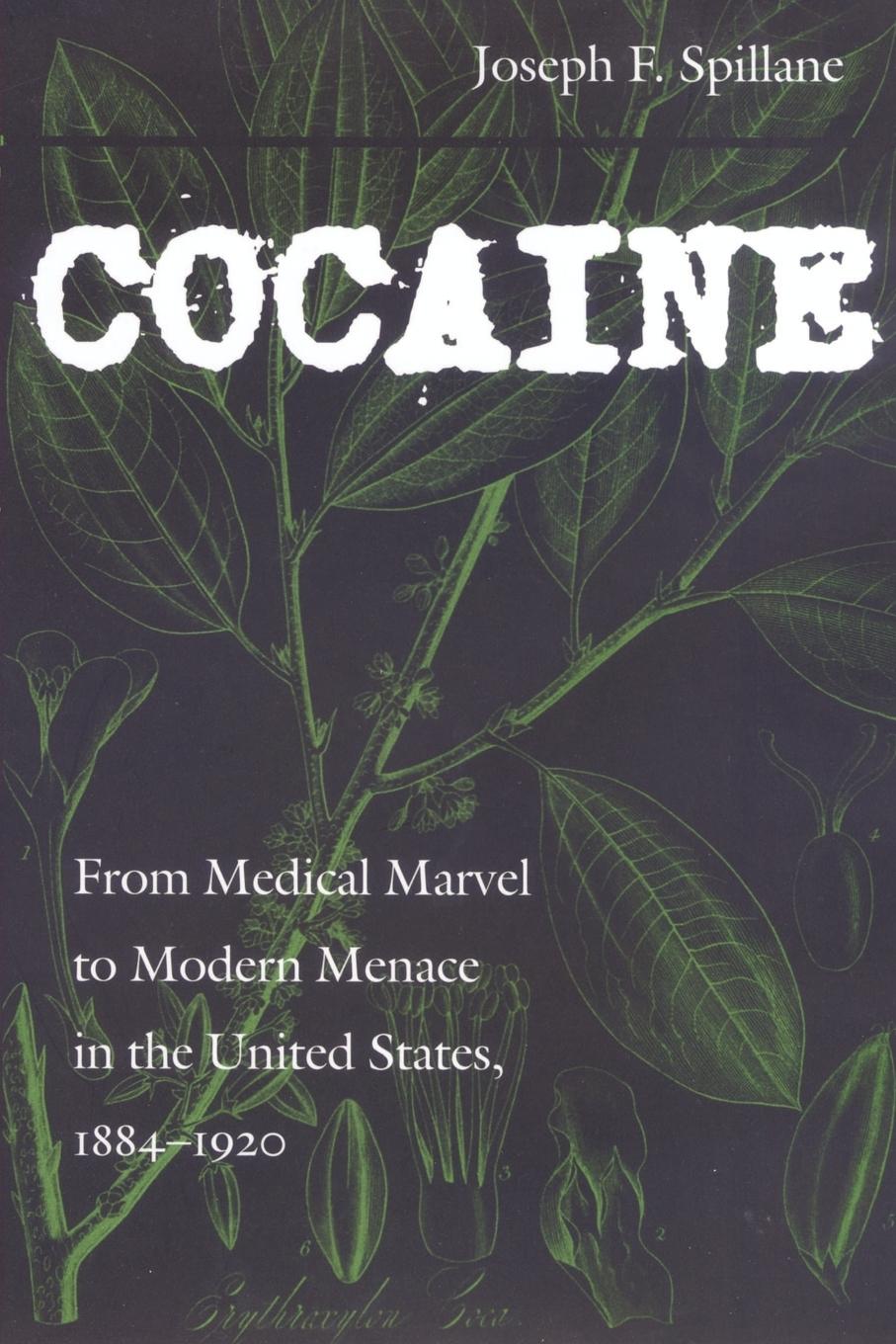 Cover: 9780801871160 | Cocaine | Joseph F. Spillance | Taschenbuch | Englisch | 2002