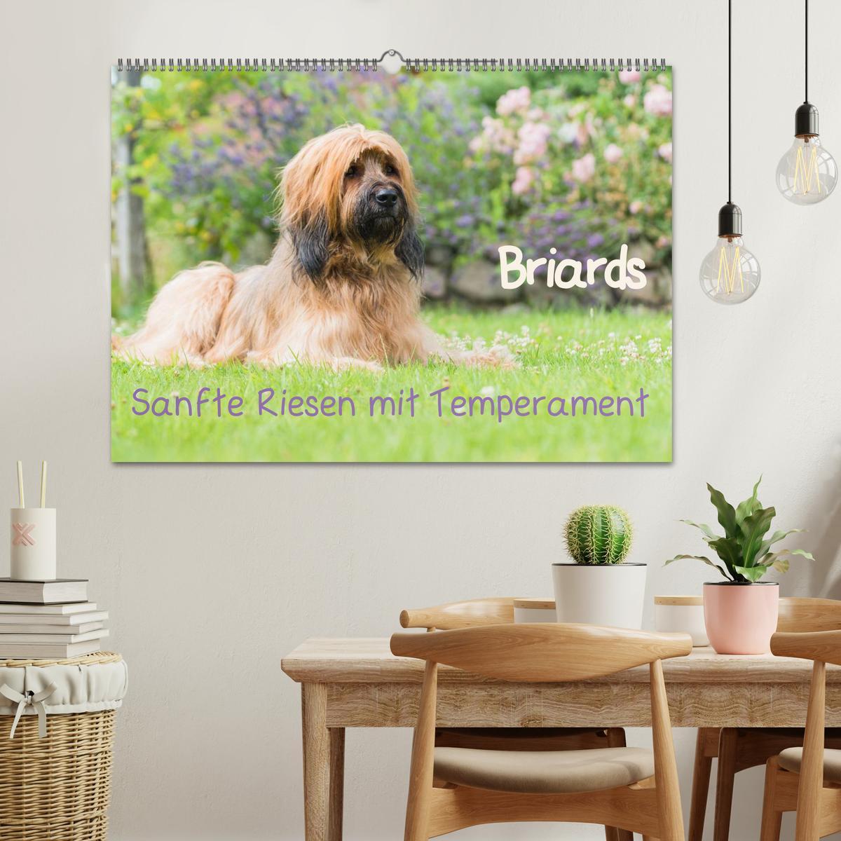 Bild: 9783435626397 | Briards - sanfte Riesen mit Temperament (Wandkalender 2025 DIN A2...