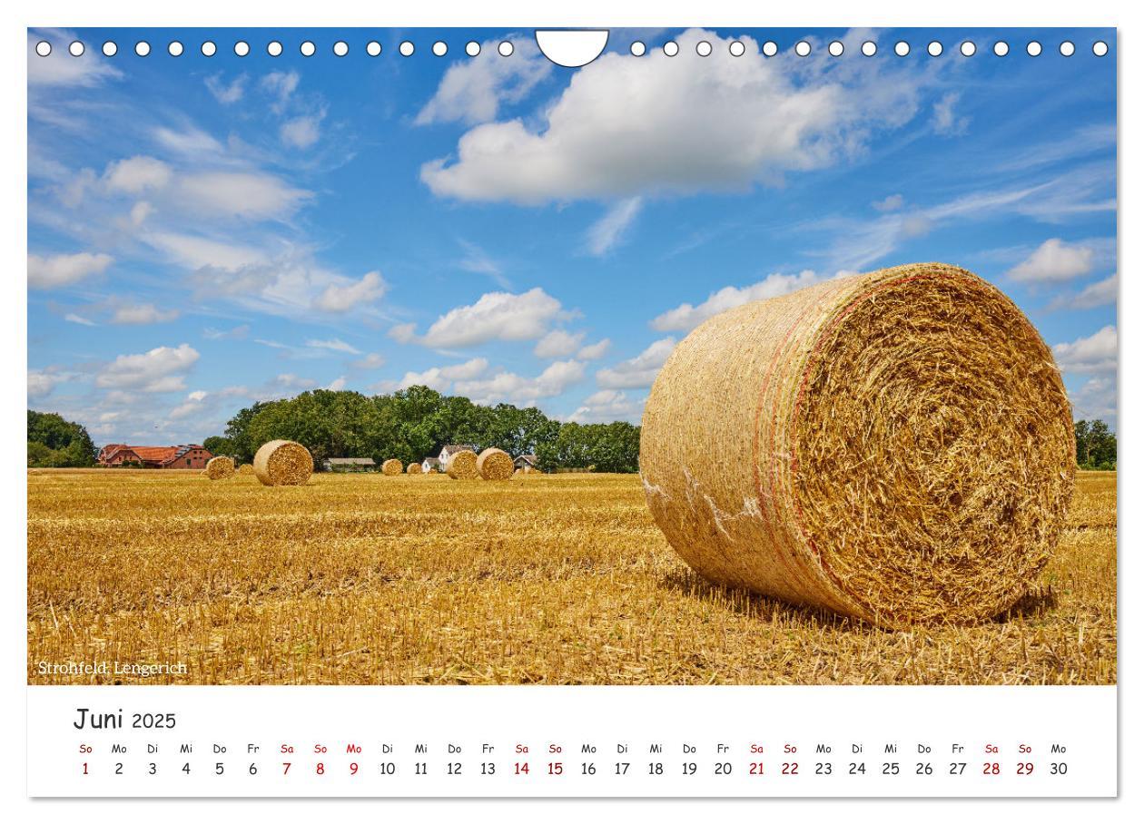 Bild: 9783457228074 | Emsland Impressionen (Wandkalender 2025 DIN A4 quer), CALVENDO...