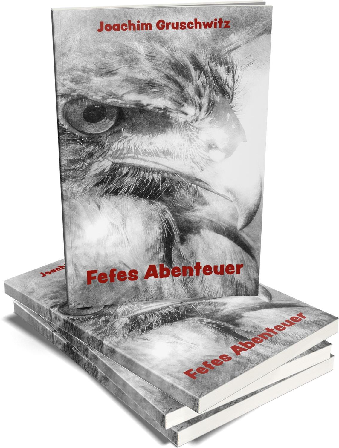 Bild: 9783960745310 | Fefes Abenteuer | Joachim Gruschwitz | Taschenbuch | Deutsch | 2022