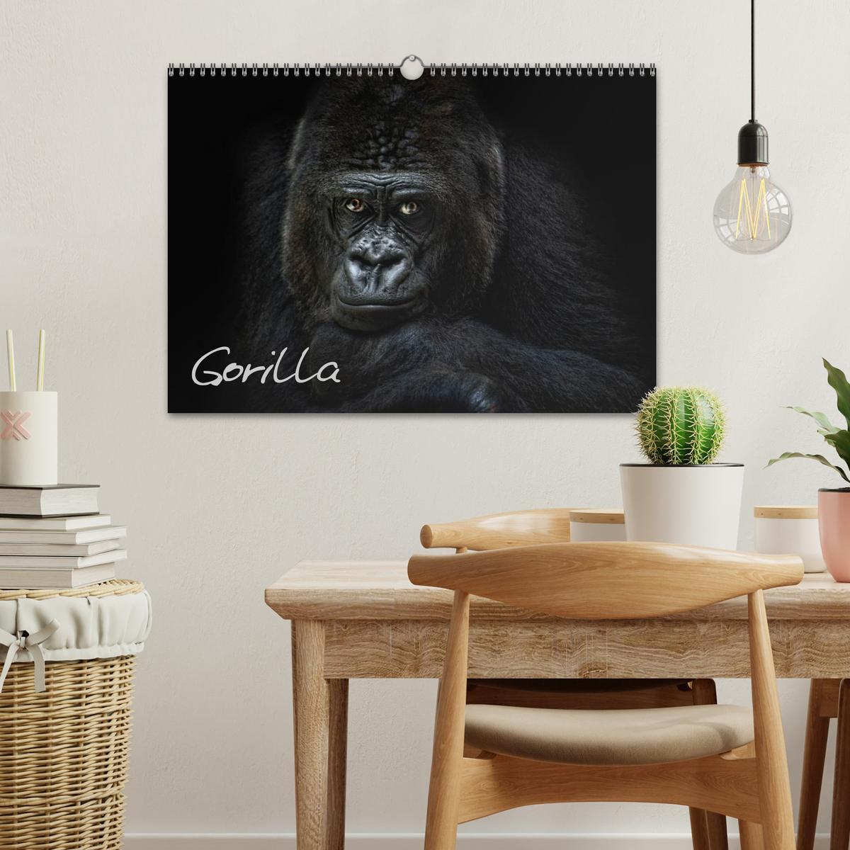 Bild: 9783435744725 | Gorilla (Wandkalender 2025 DIN A3 quer), CALVENDO Monatskalender