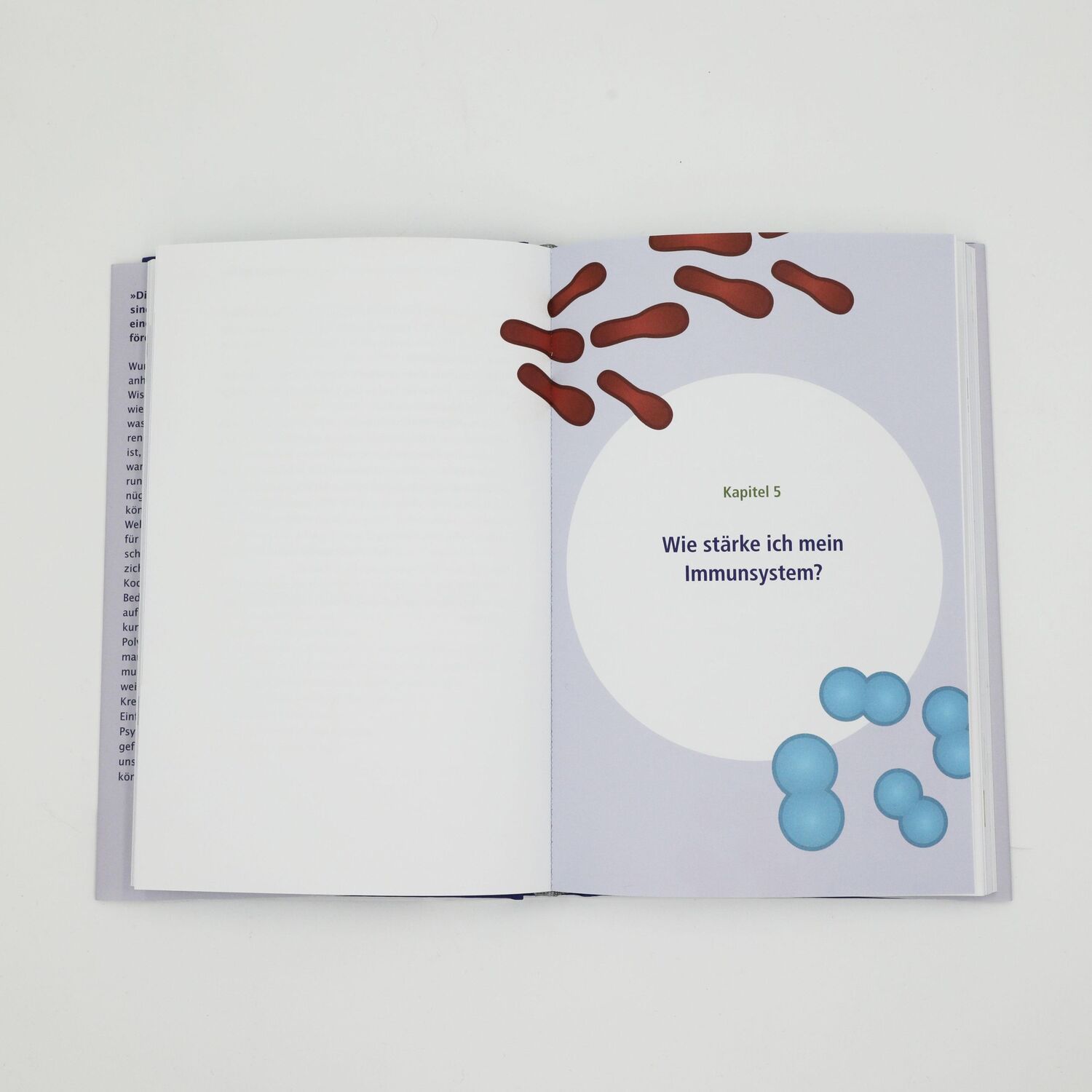 Bild: 9783423282277 | Unser erstaunliches Immunsystem | Marianne Koch | Buch | 208 S. | 2020