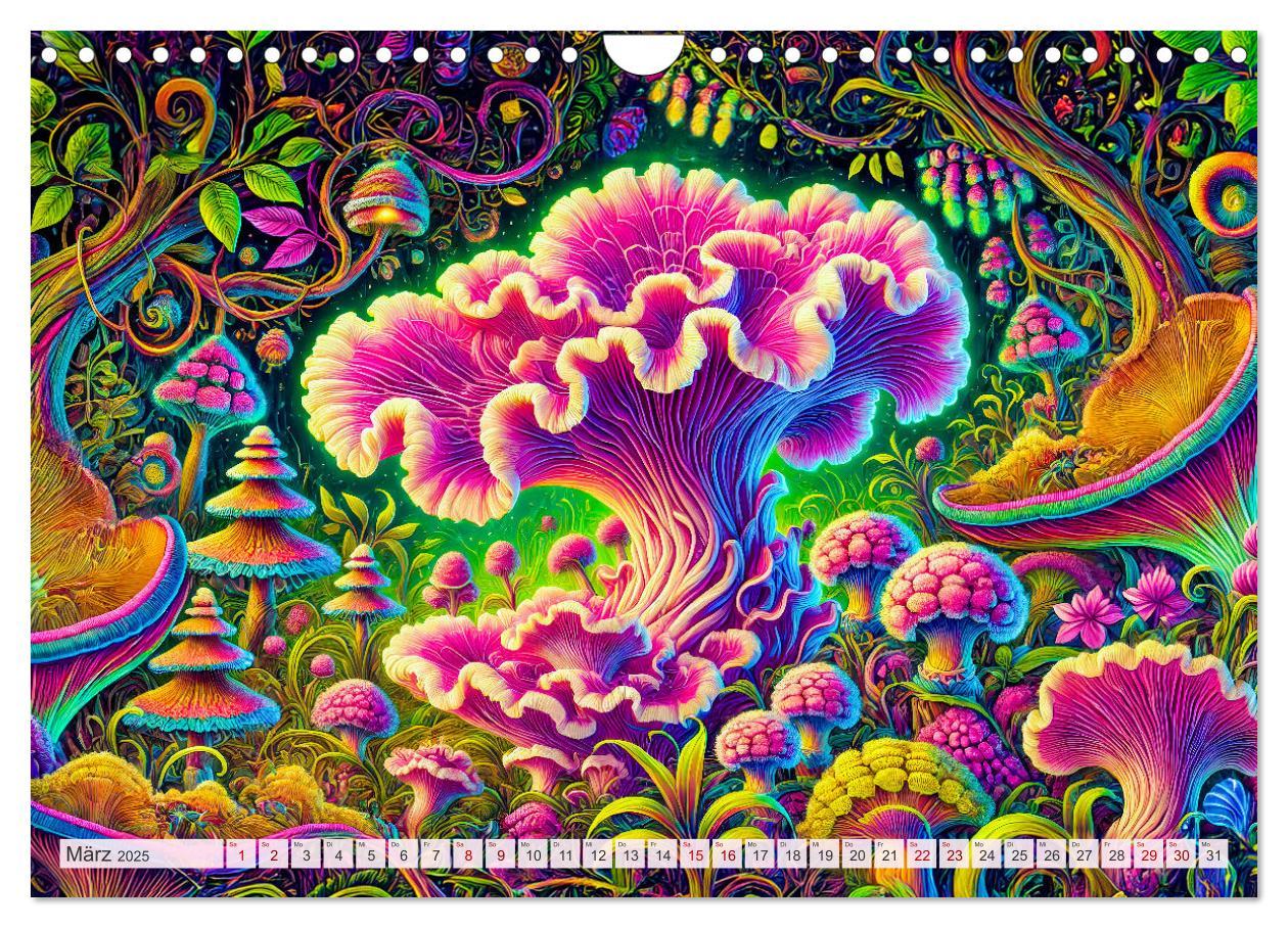 Bild: 9783457226582 | Psychedelische Pilze - Die bunte Welt der magischen Pilze...