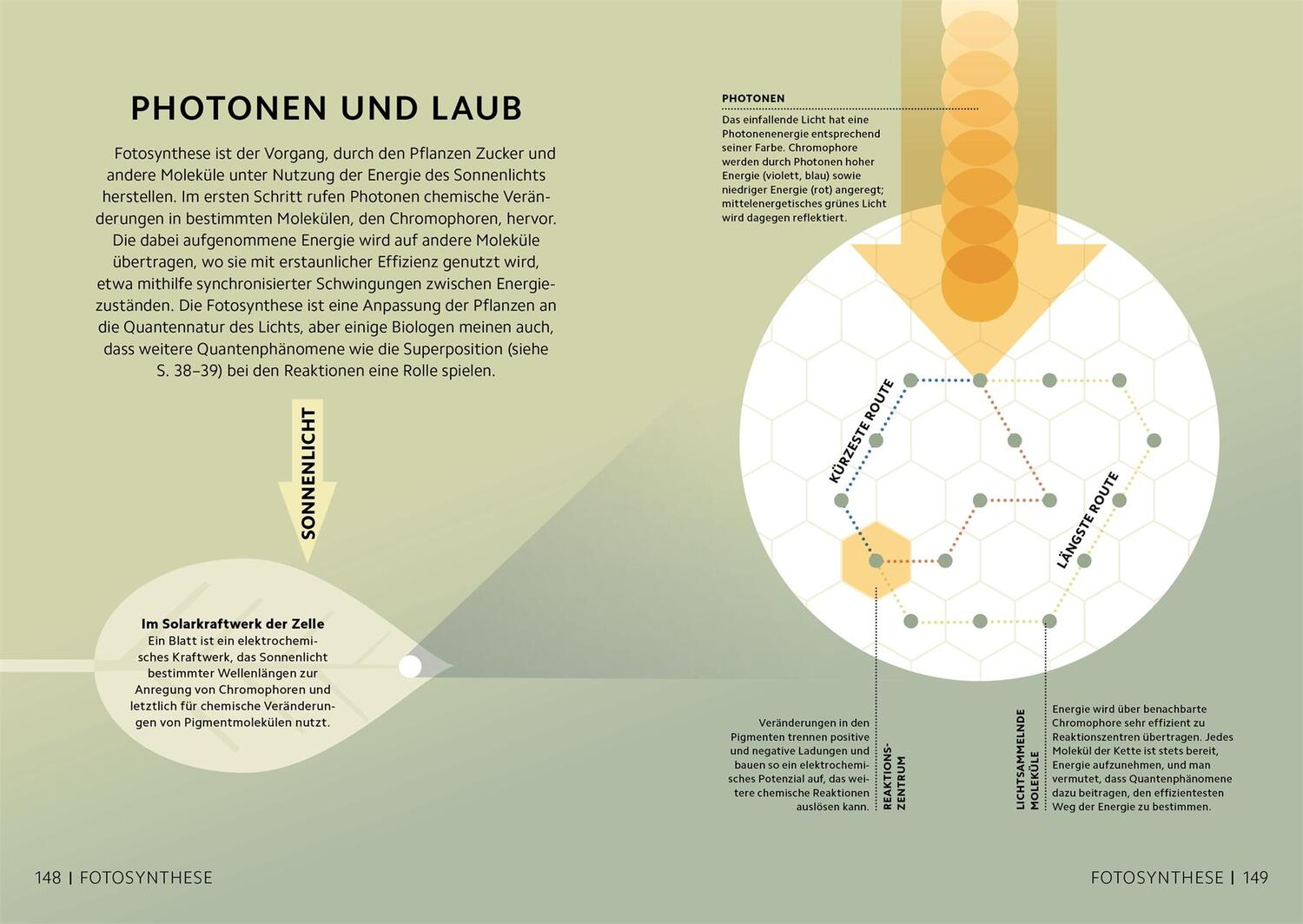 Bild: 9783831046065 | SIMPLY. Quantenphysik | Hilary Lamb (u. a.) | Buch | 160 S. | Deutsch