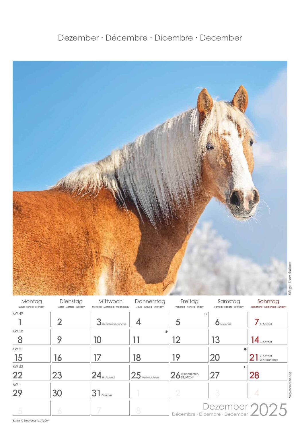 Bild: 4251732341022 | Pferde 2025 - Bildkalender 23,7x34 cm - Kalender mit Platz für...