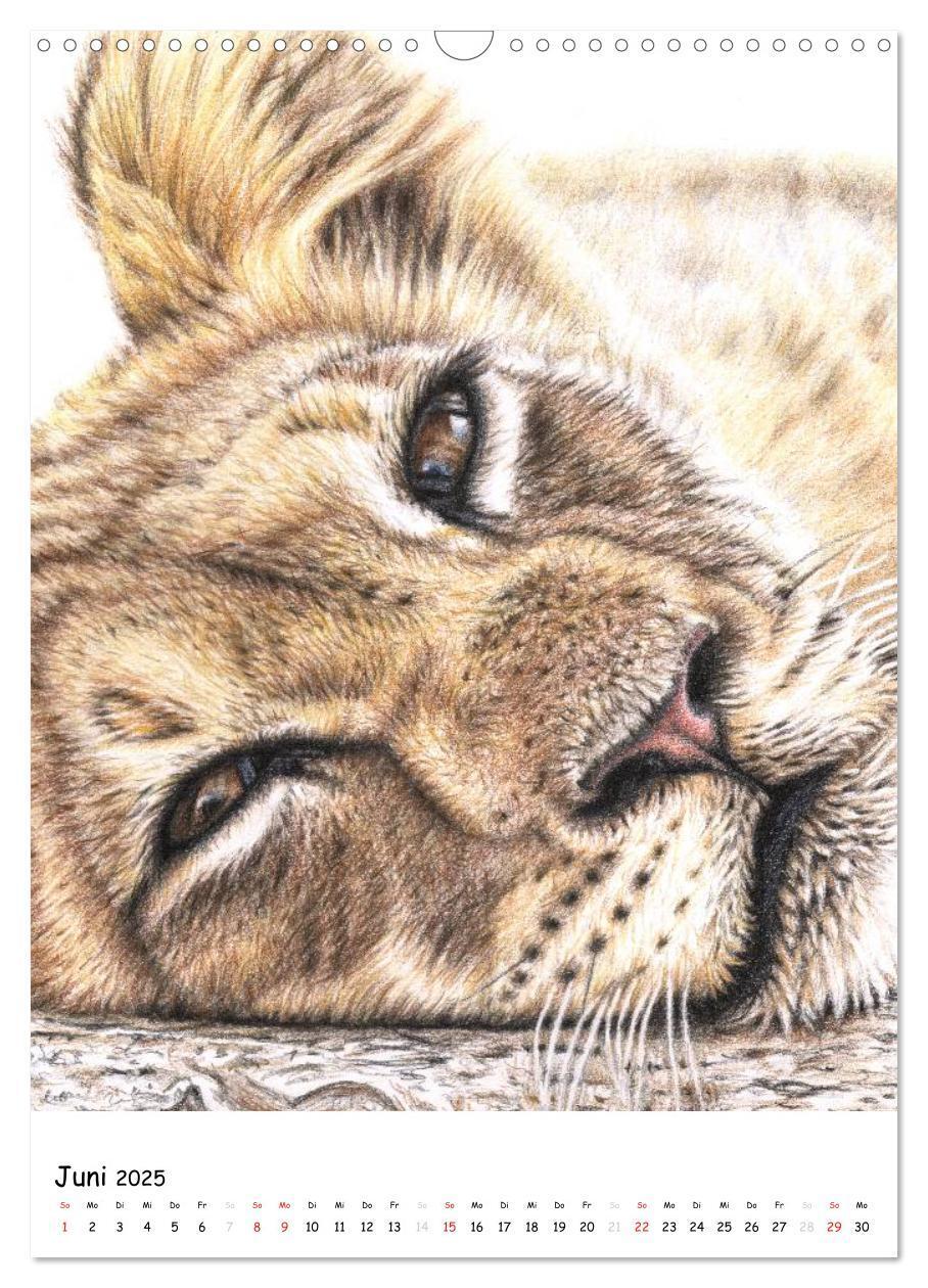 Bild: 9783457077245 | Wildlife Portraits (Wandkalender 2025 DIN A3 hoch), CALVENDO...