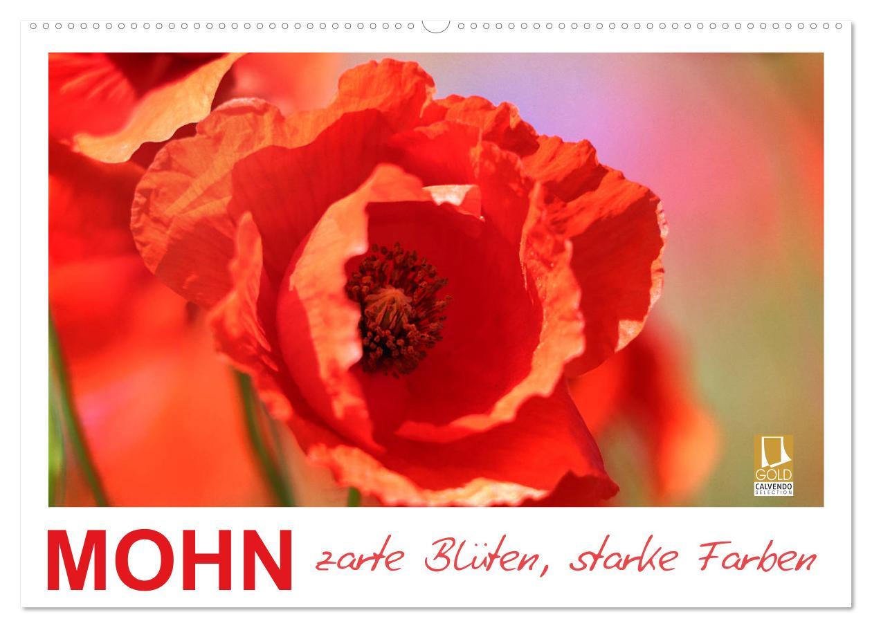 Cover: 9783435135431 | Mohn, zarte Blüten, starke Farben (Wandkalender 2025 DIN A2 quer),...