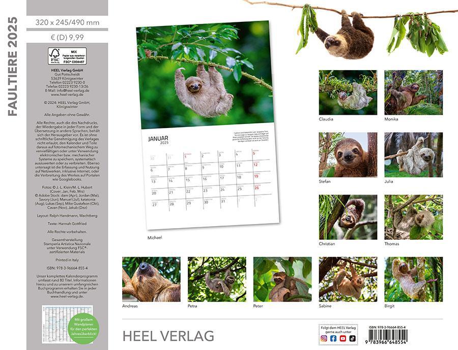 Bild: 9783966648554 | Faultiere Kalender 2025 Wandkalender | Kalender | Spiralbindung | 2025